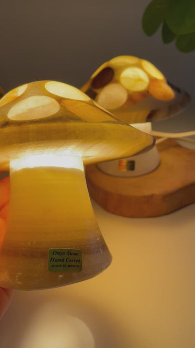 Mexican Onyx Mushroom Lamp