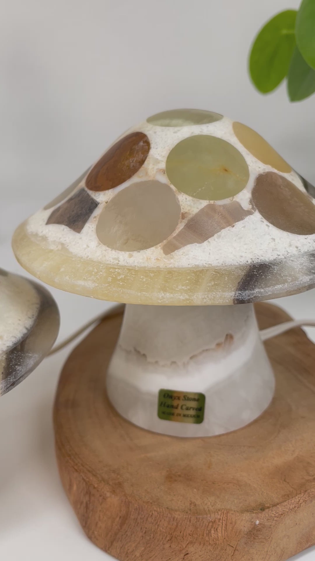 Mexican Onyx Mushroom Lamp