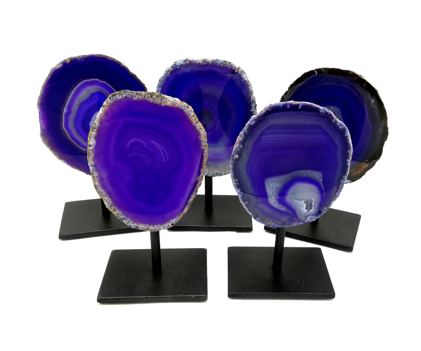 Five front facing agate geode on metal base with a white background.