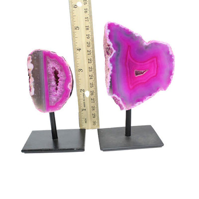 Two front facing pink agate geodes on a metal base next to a ruler to show size reference.