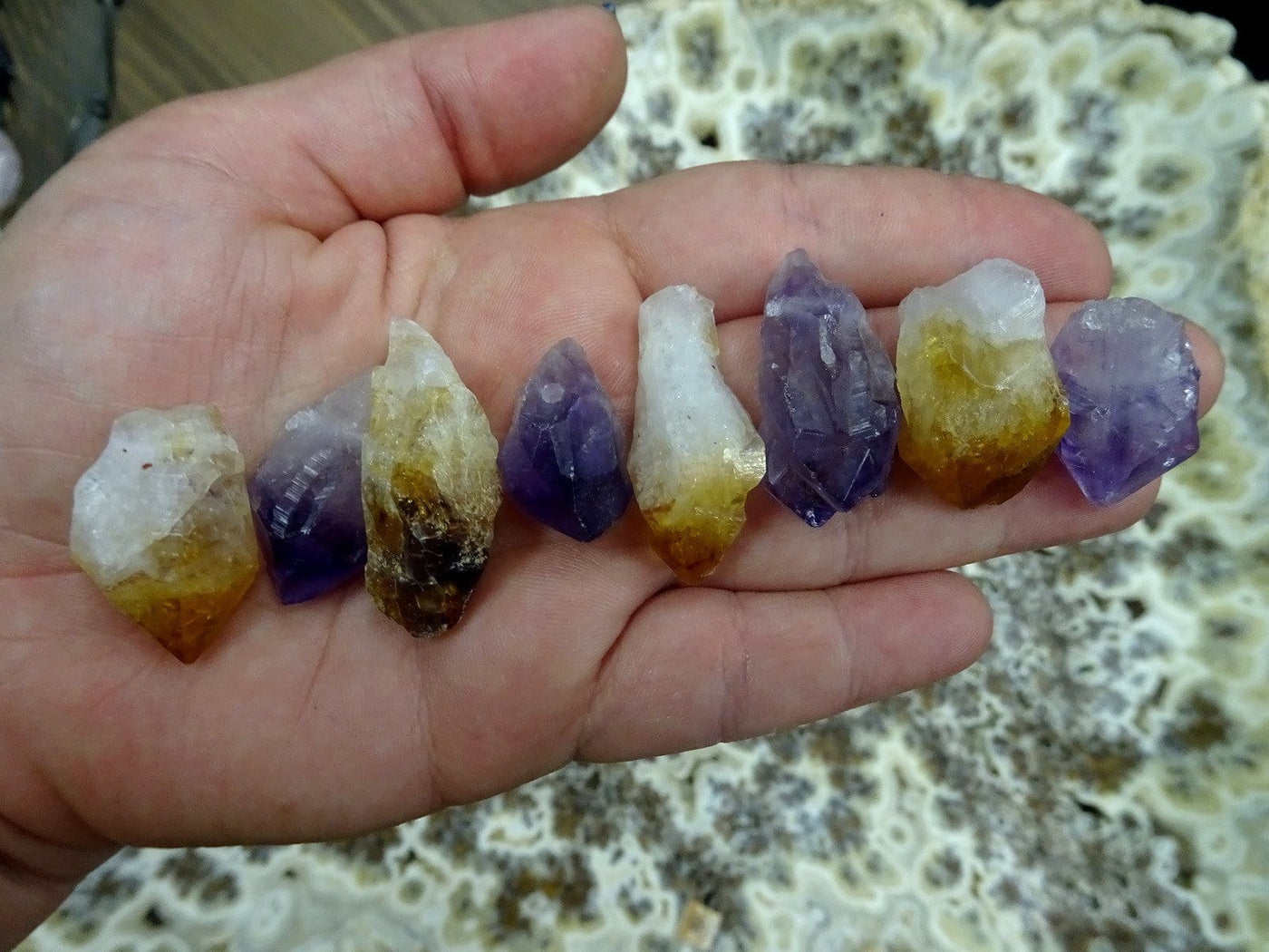 assorted citrine and amethyst points in a hand.