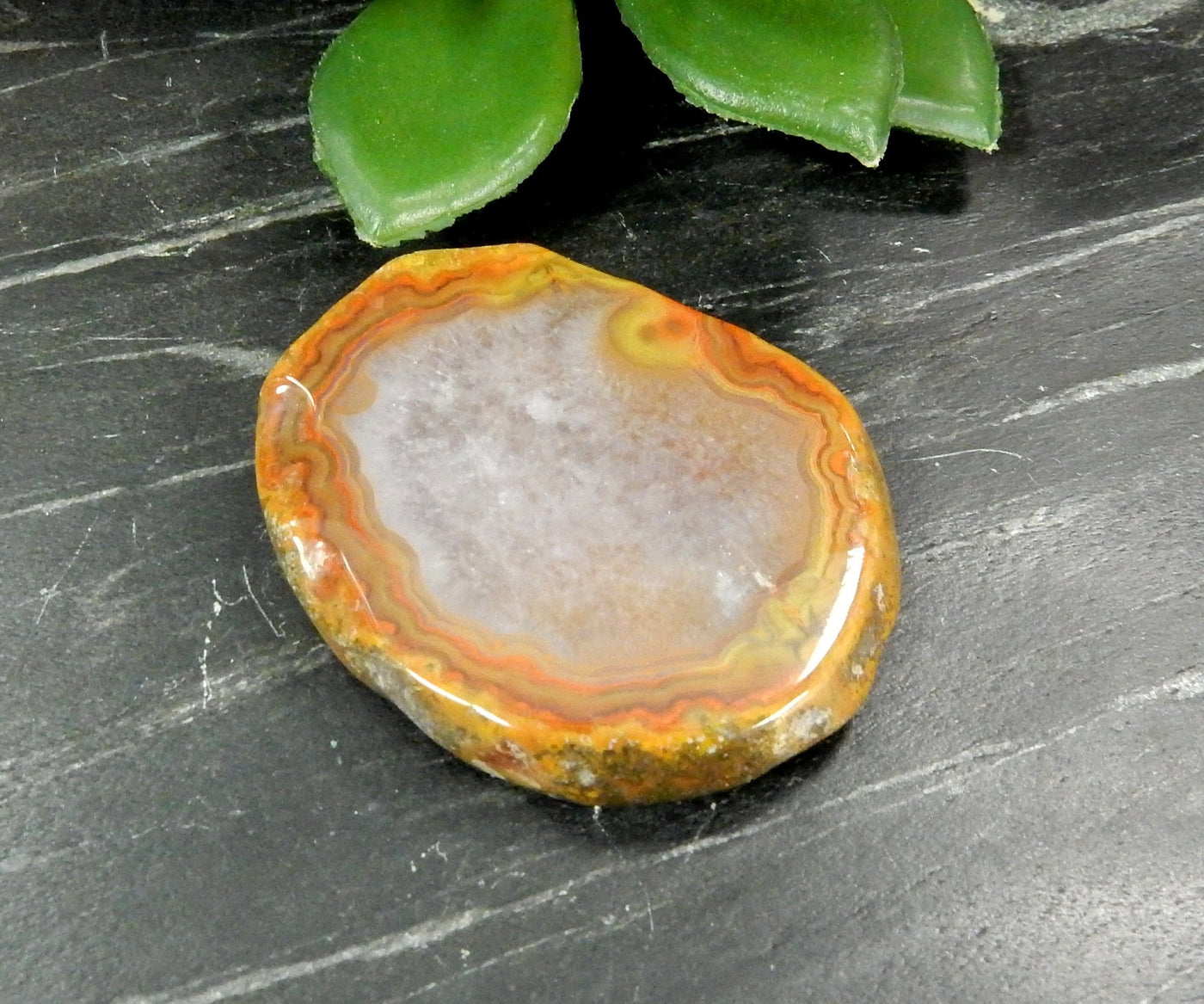 Up close shot of Red Chinese Agate Cabochon with plant on black background