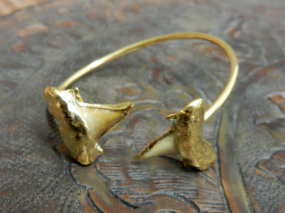 Close Up of Double Light Shark Tooth edged in 24K Gold on Adjustable Cuff Bracelet on Brown Background.