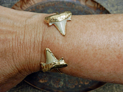 Double Light Shark Tooth edged in 24K Gold on Adjustable Cuff Bracelet in wrist on Brown Background.