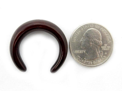 brown crescent next to a quarter for size reference