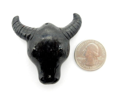 Bull Head next to a quarter for size reference 