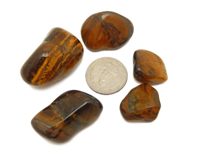 Cabochons - Tiger Eye Stone - Mixed Shapes Cabochons - Jewelry Making - Jewelry Craft Supplies - Decor - Choose 1,3,5, 10 Stones (TS-07)