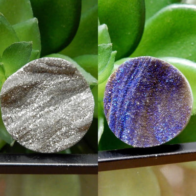 2 Titatium Druzy Round Cabachons, one silver and one multicolor, in front of a plant