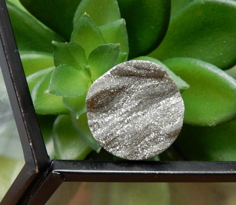 Up close shot of Titatium Druzy Round Cabachon in front of a plant