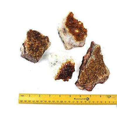 4 citrine clusters next to a ruler for size reference