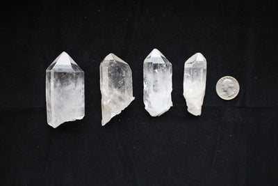 Four Crystal Point 5-8cm next to a quarter for size comparison 