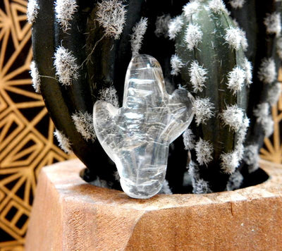 Petite Crystal Quartz Cactus next to a real cactus (real cactus not included)