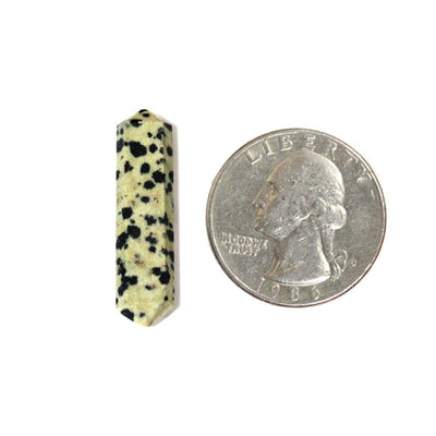 Dalmatian Jasper Double Terminated Pencil Point Next to the Quarter on White background.