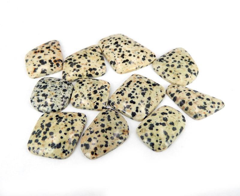 11 Dalmatian Jasper Stones on White Background.