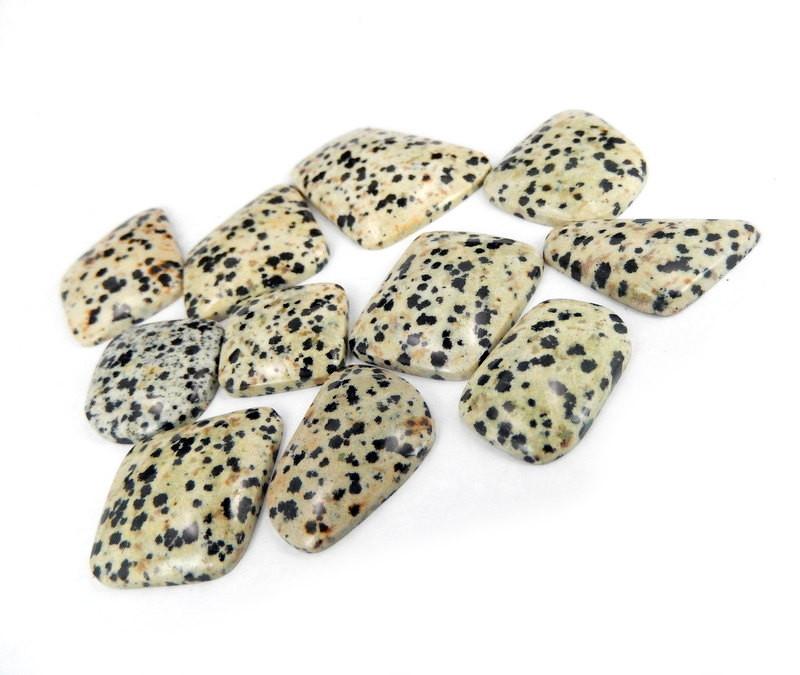 Side Angle 11 Dalmatian Jasper Stones on White Background.