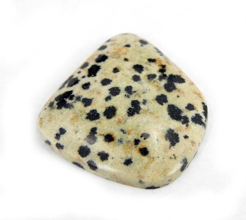 Dalmatian Jasper Stone on White Background.