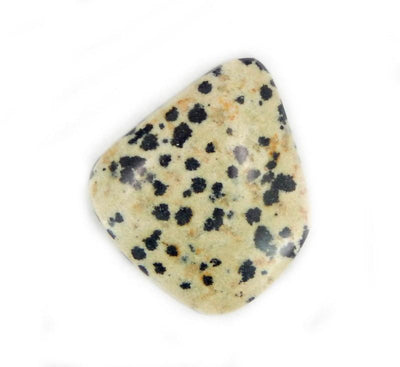 Dalmatian Jasper Stone on White Background.