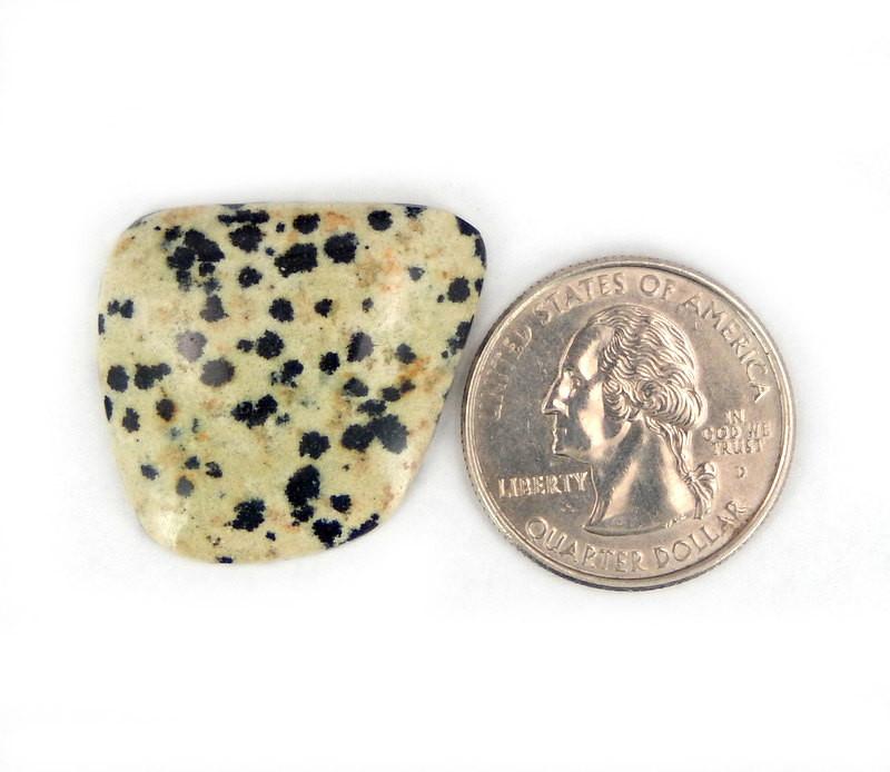 Dalmatian Jasper Stone Next to a Quarter on White Background. 
