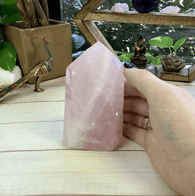 rose quartz polished point next to hand for size reference 