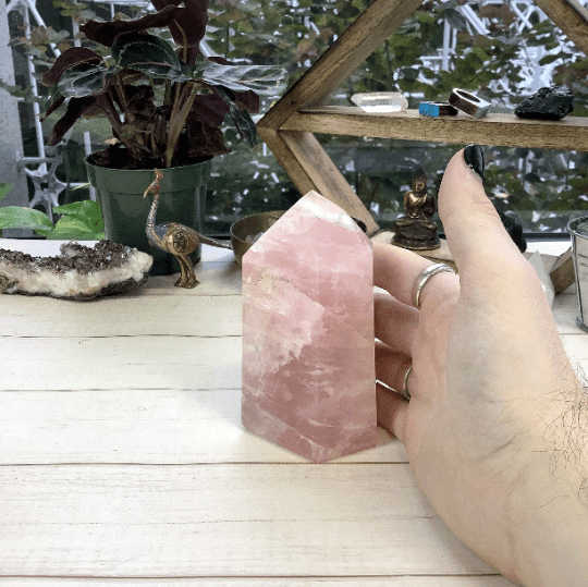polished rose quartz point in hand for size reference 