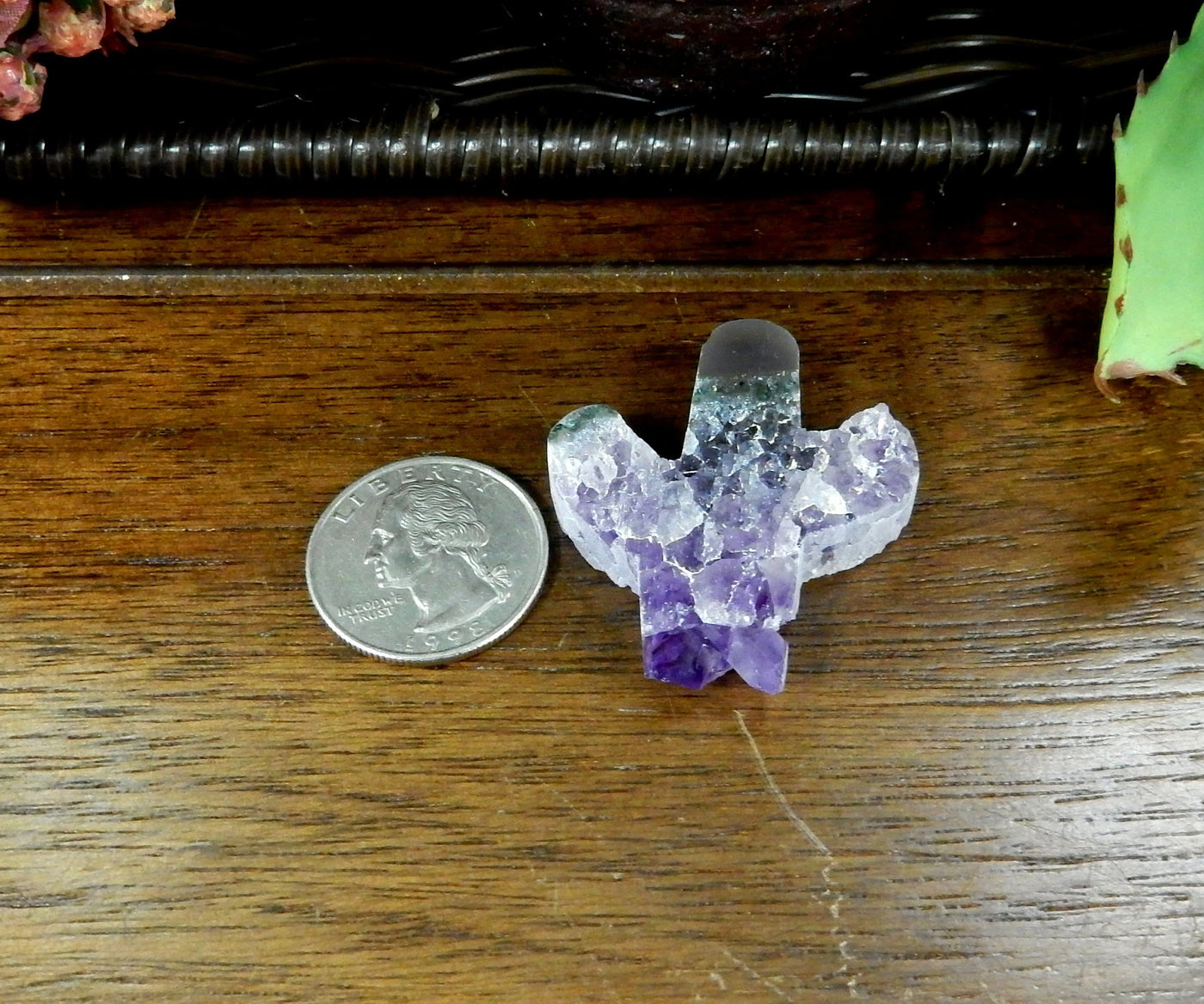 amethyst cactus cabochon next to a quarter for size reference