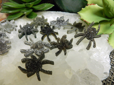 Black Druzy Spider Cabochons displayed up  close to see the detail design on the spider legs and body shape and color hues of black gray