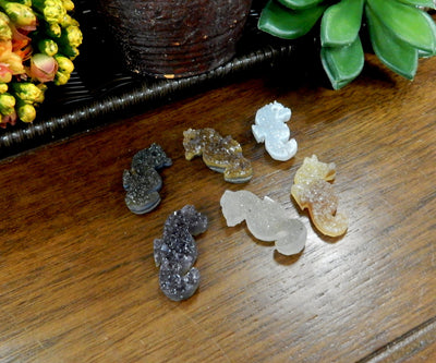 angled shot of 6 druzy seahorses on wooden table with decorations