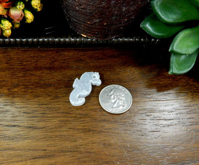 druzy seahorse cabochon next to a quarter for size reference on wooden table with decorations