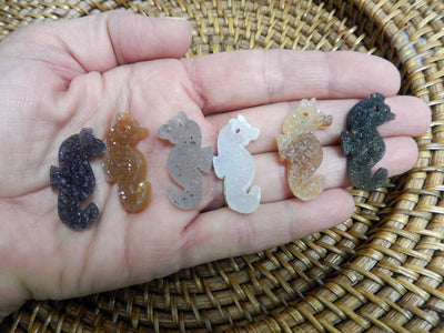 Hand holding up 6 different druzy seahorse cabochons in front of woven basket