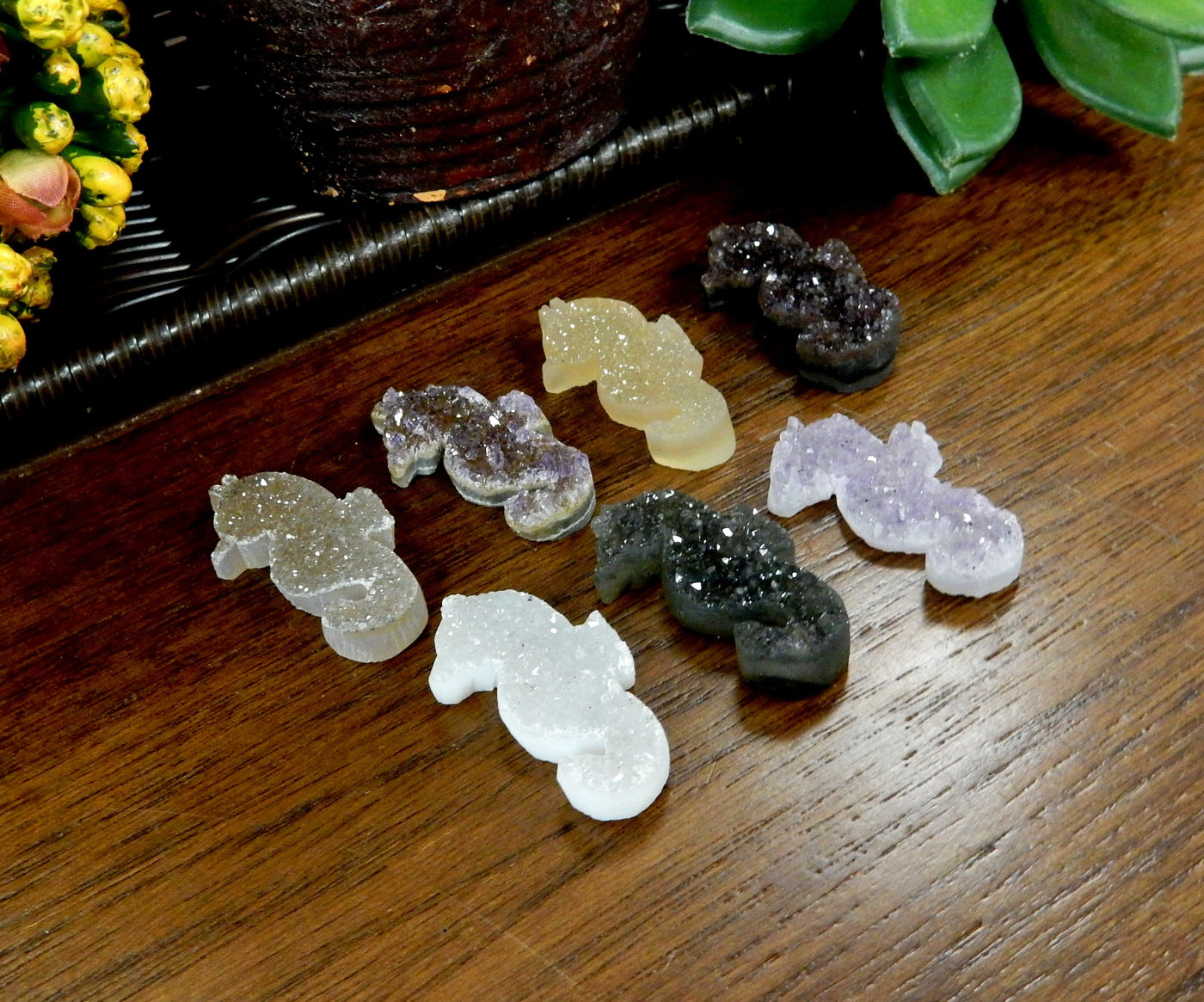 seahorse druzy cabochons with decorations in the background
