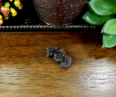 seahorse druzy cabochons with decorations in the background