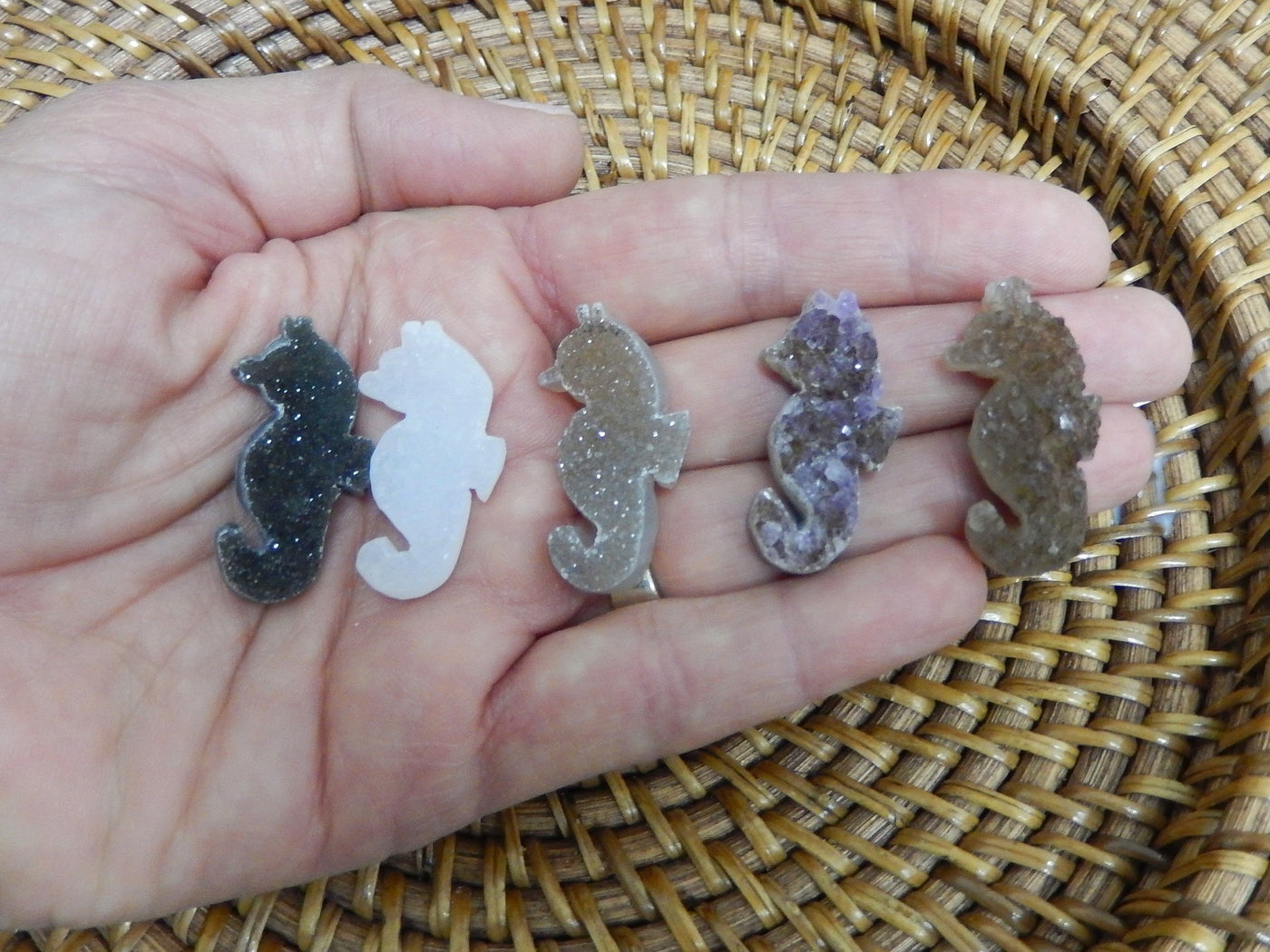 hand holding up 5 seahorse druzy cabochons