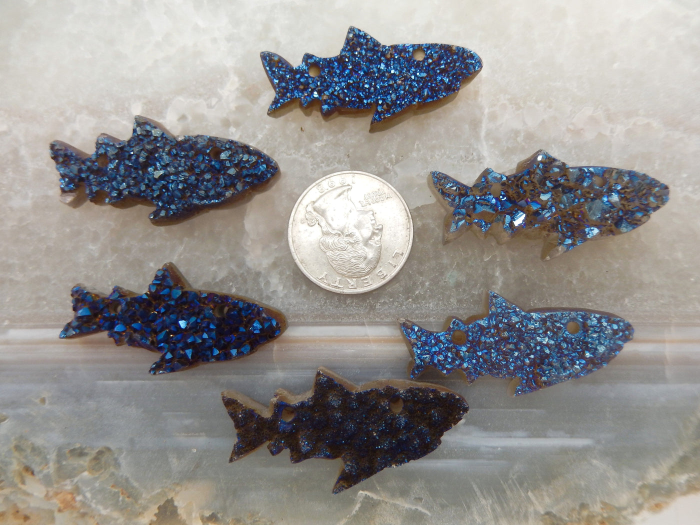6 Mystic Blue Shark Fish Cluster Cabochons surrounding a quarter for size reference