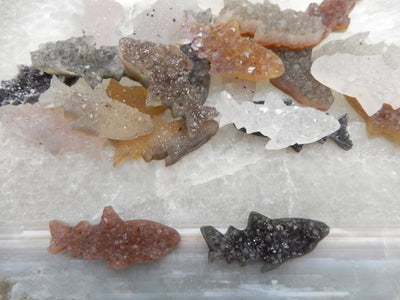 Top view of many Druzy Shark Fish Cluster Cabachon . 