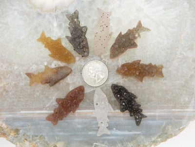 9 Druzy Shark Fish Cluster Cabachon around a quarter for size reference 
