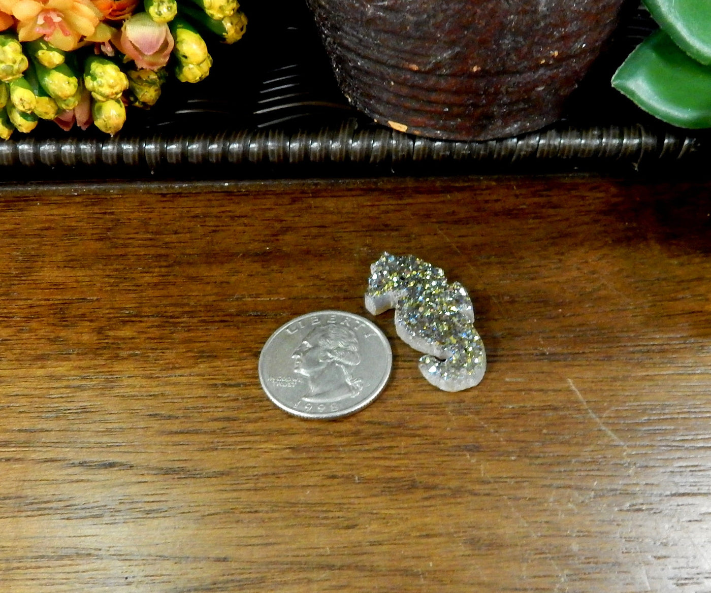 1 Rainbow Titanium Treated Druzy Seahorse next to a quarter for size comparison on wooden table