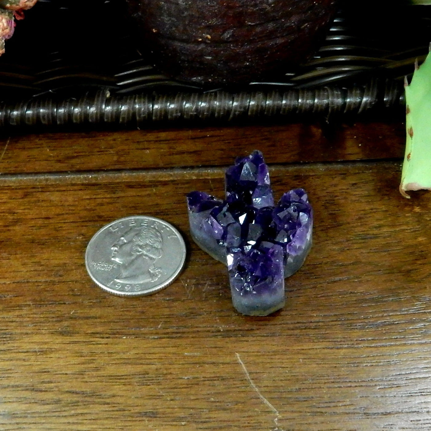 cactus cabochon next to a quarter for size reference 