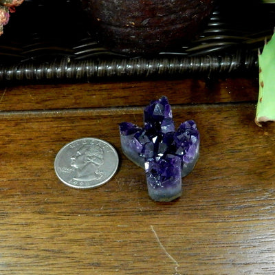 cactus cabochon next to a quarter for size reference 