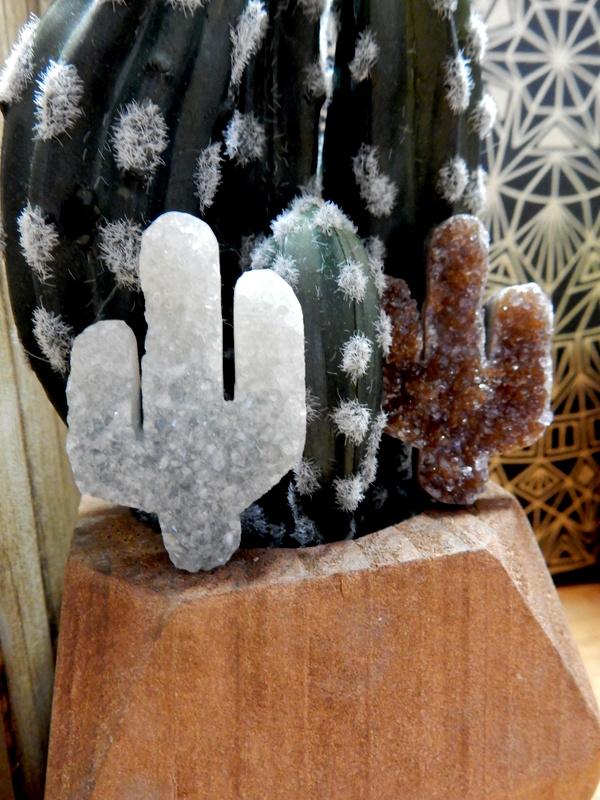 druzy cactus cabochon in front of cactus