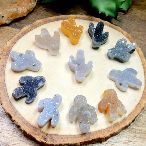 11 druzy cactus cabochons on wooden platter