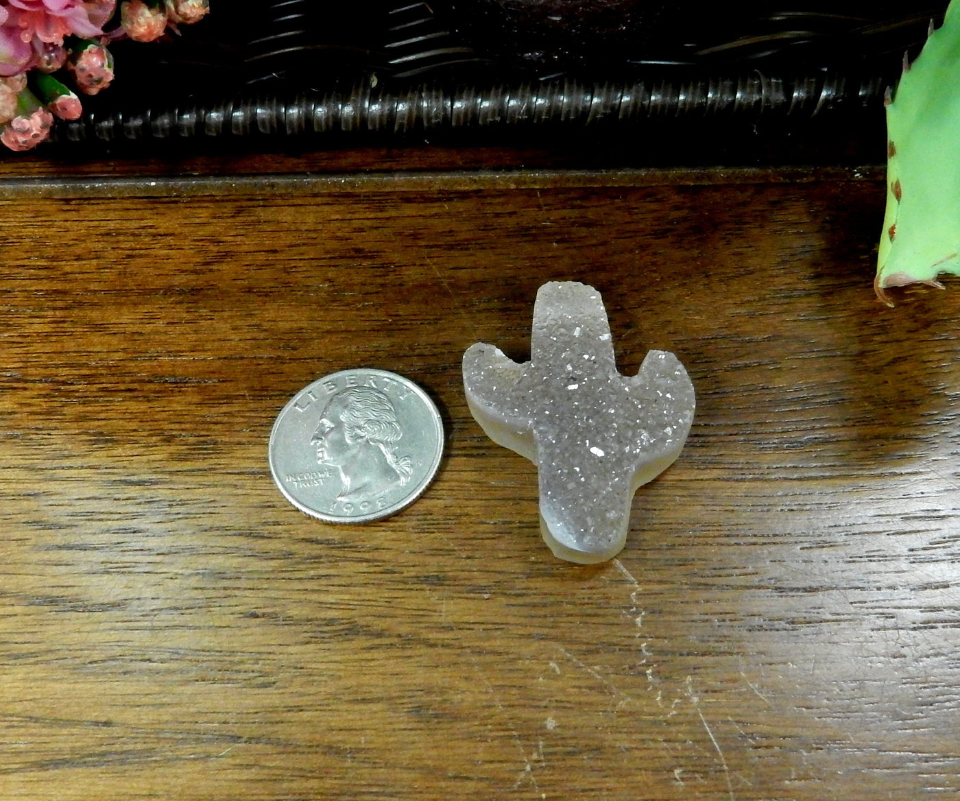 Druzy cactus cabochon next to quarter for size reference