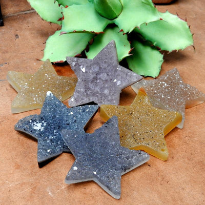 6 druzy star beads with plant in the background