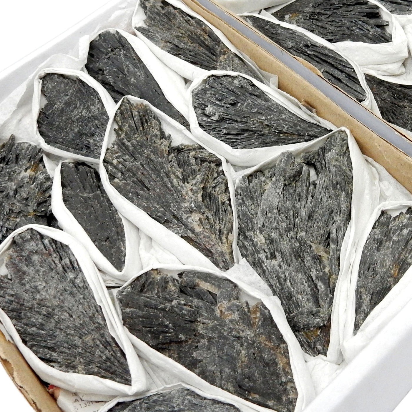 Black Kyanite Blades in boxes showing range of shape and size
