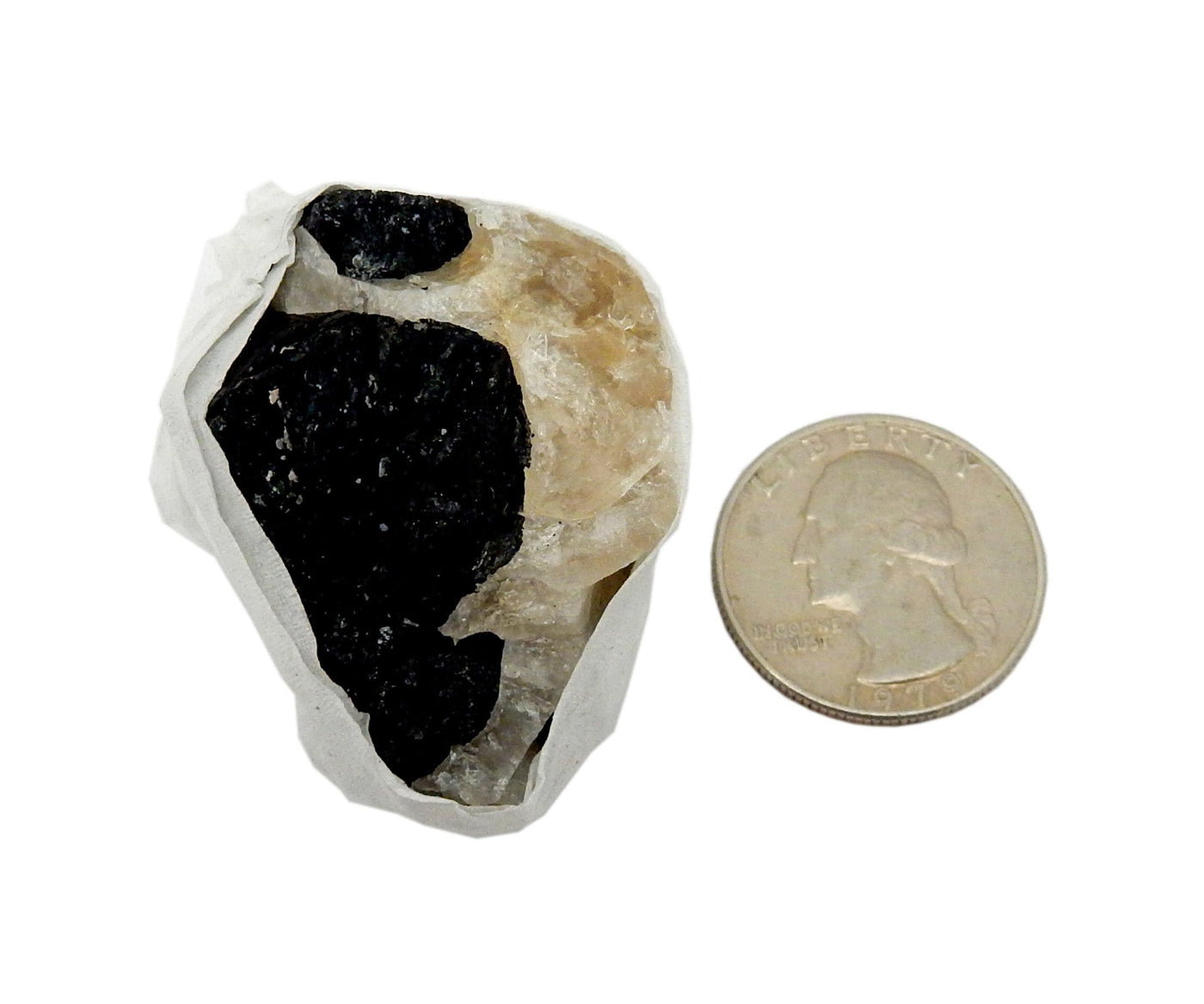 black tourmaline on matrix next to a quarter for size reference