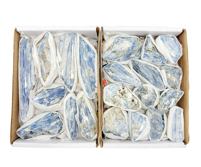 Blue Kyanite Blades showing range of size and shape in boxes
