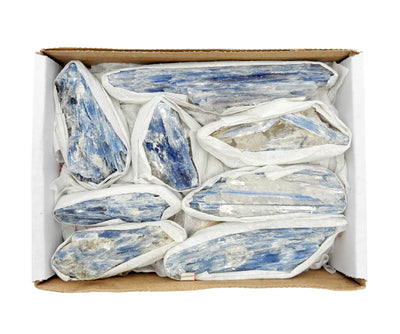 Flat Boxes - Blue Kyanite Blades in a box