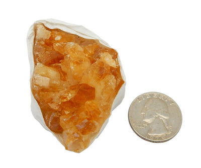1 Citrine Cluster next to a quarter for size reference