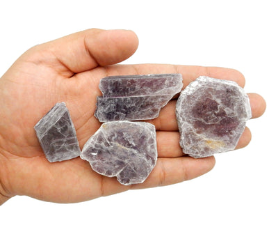4 pieces of lepidolite stone in a hand for size reference