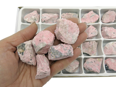 Hand holding up 5 Rhodonite Chunks in front of a box with more rhodonite