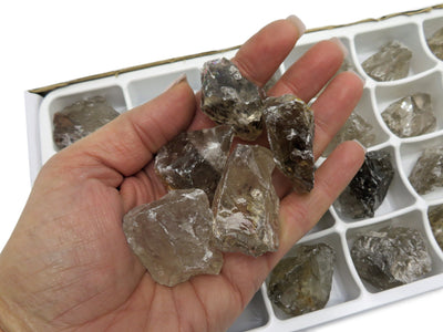 five pieces of smokey quartz from smokey quartz box in hand for size reference